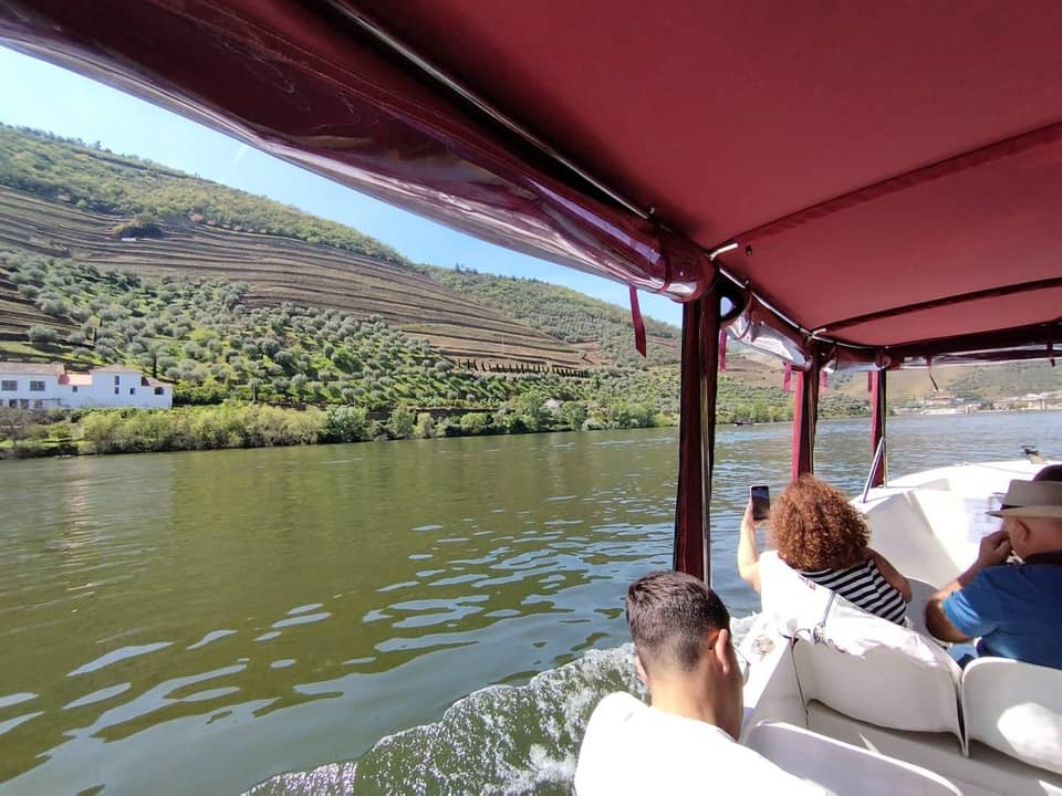 Port and Douro wine tasting in Pinhão