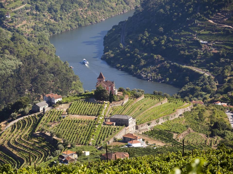 Premium Douro Valley small-group wine tour — image 1