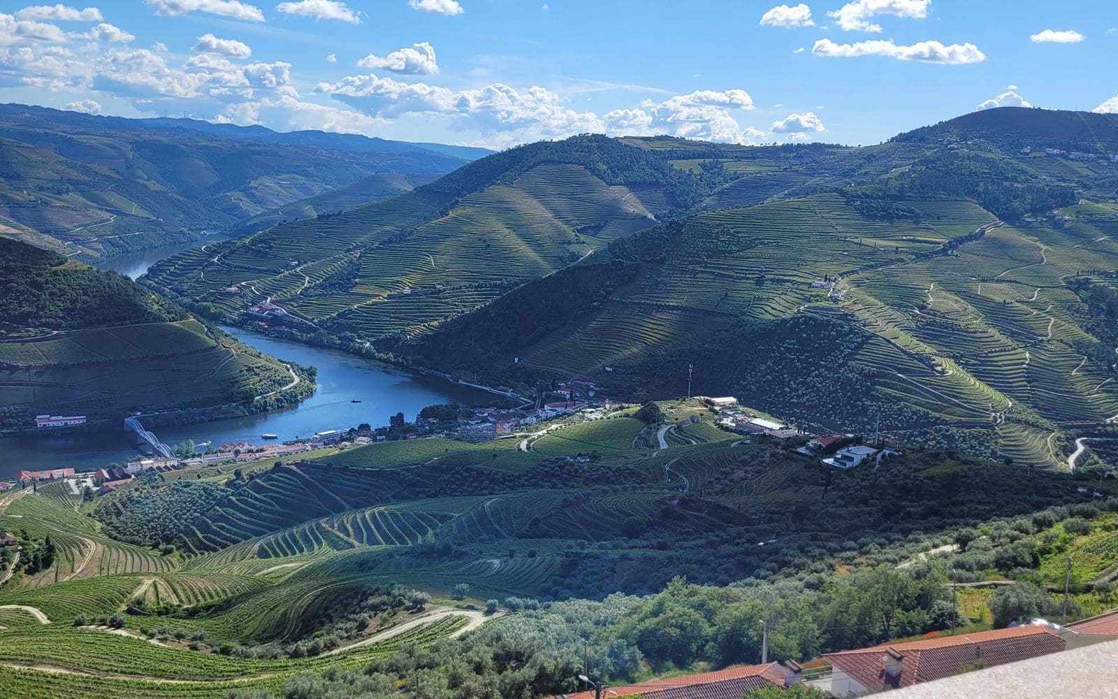 Green terraced vineyard slopes and river bends in the Douro Valley