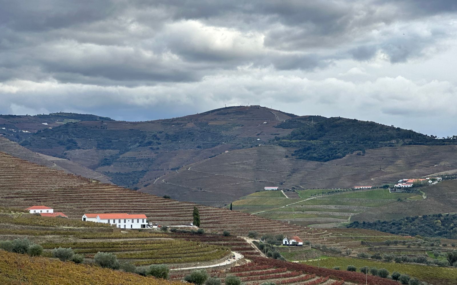 Terraced vineyards and rural roads across the Douro Valley hills