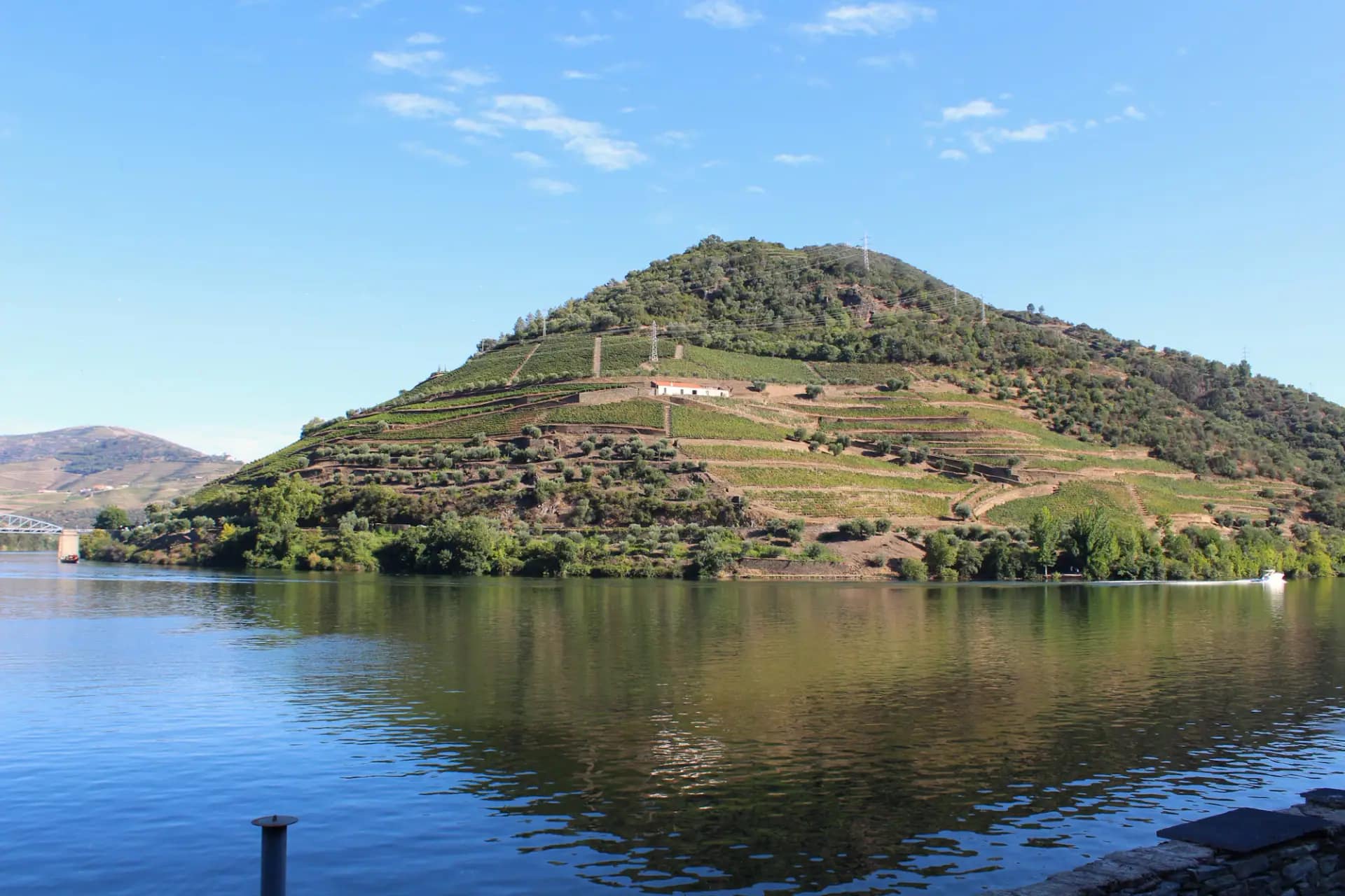 Douro vineyards and river landscape around Pinhão