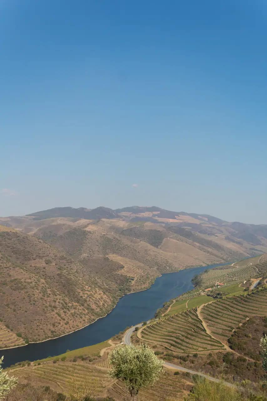 River landscape in Portugal's Douro Valley