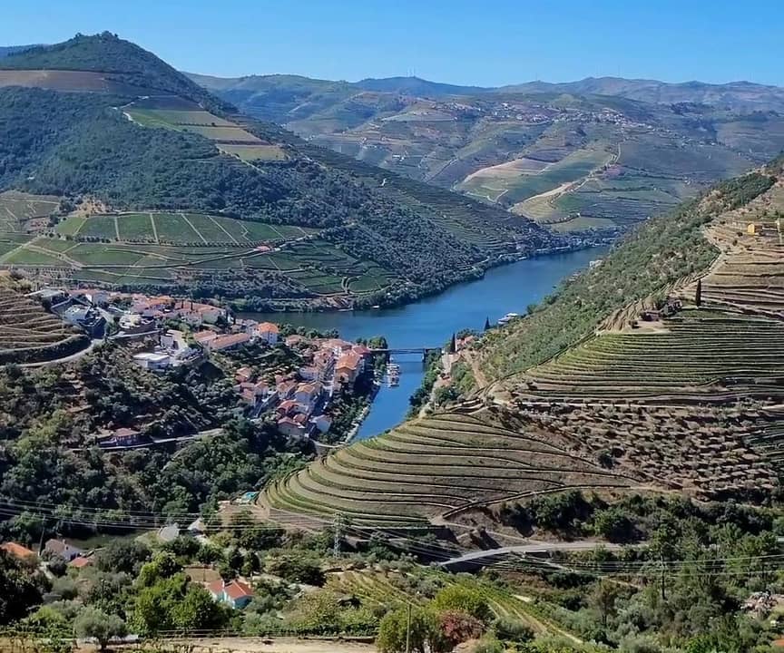 Douro Valley with Boat Tour, Wine Tasting & Lunch: view 1
