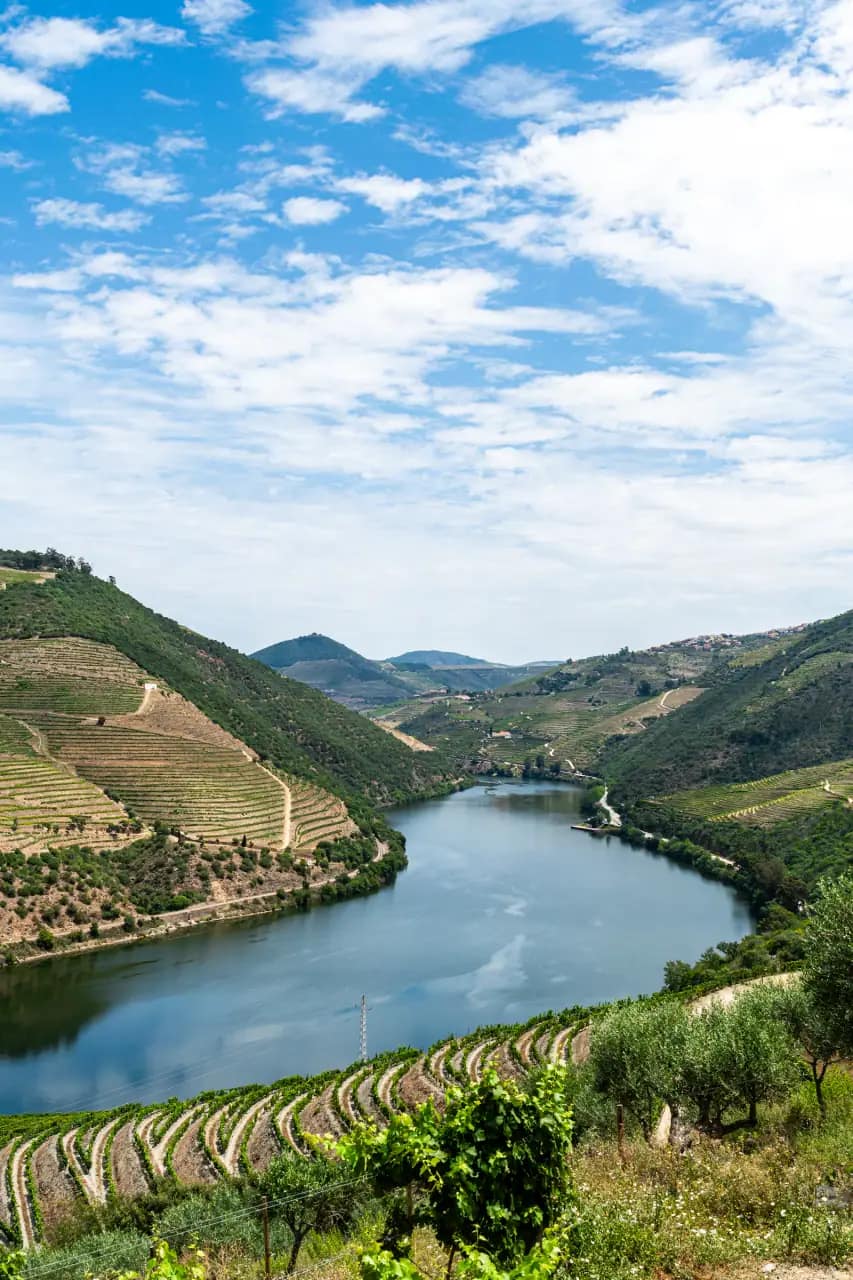 The Douro River winding between terraced vineyard slopes