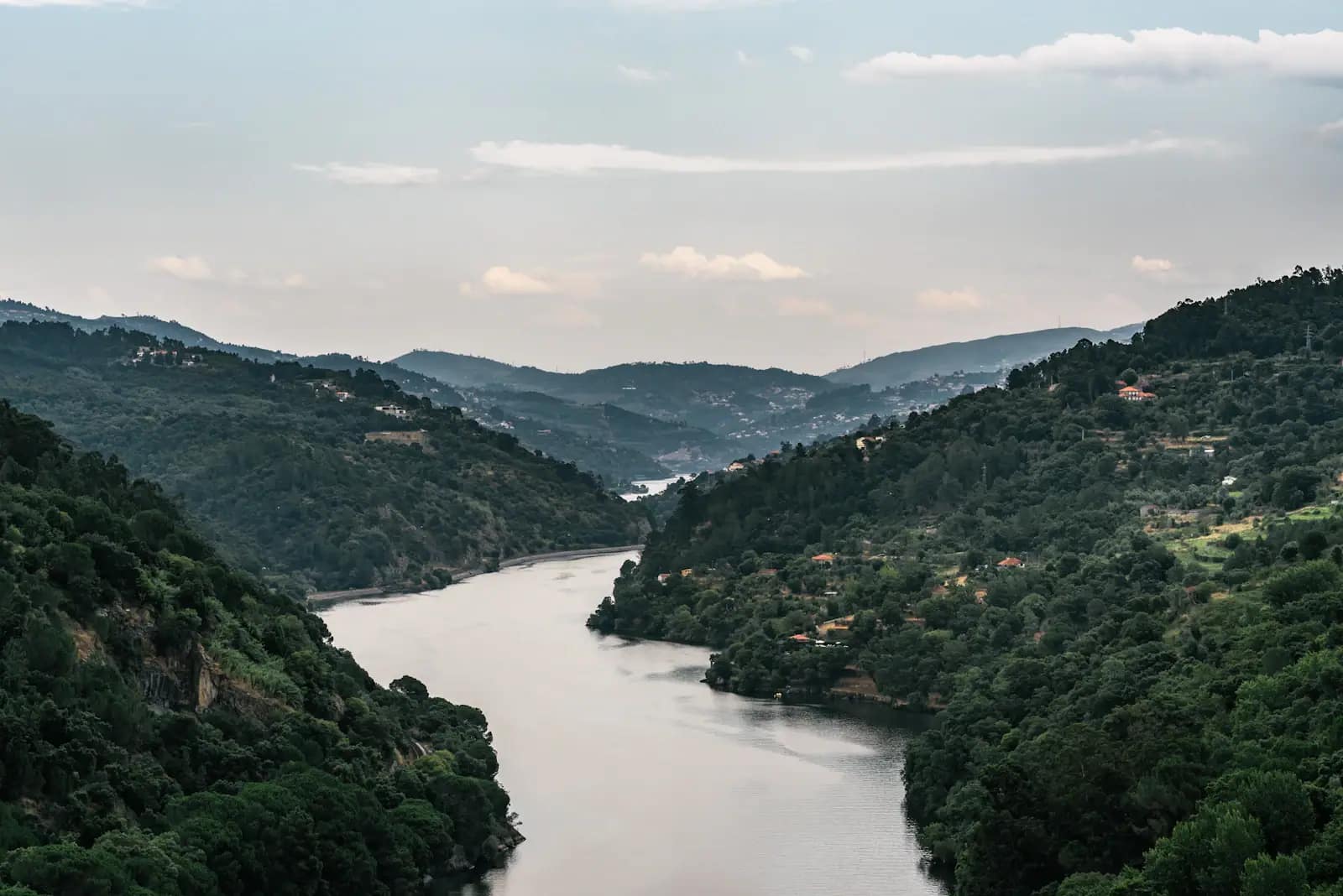 Train travelling beside the Douro River